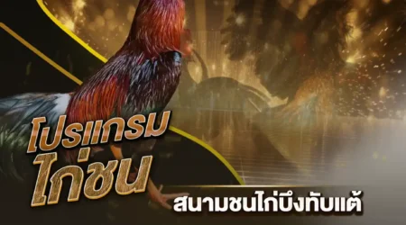 โปรแกรมไก่ชน 03 มีนาคม 2568