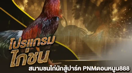 โปรแกรมไก่ชน 04 มีนาคม 2568