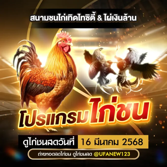 โปรแกรมไก่ชน 16 มีนาคม 2568