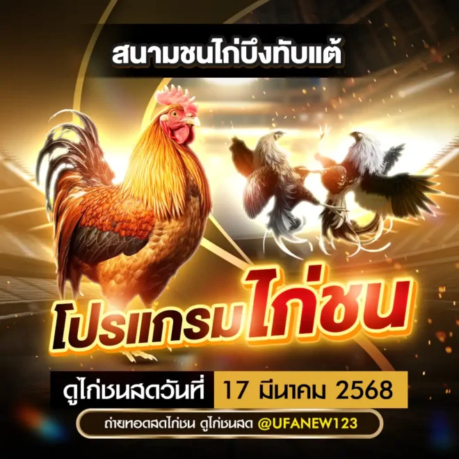 โปรแกรมไก่ชน 17 มีนาคม 2568