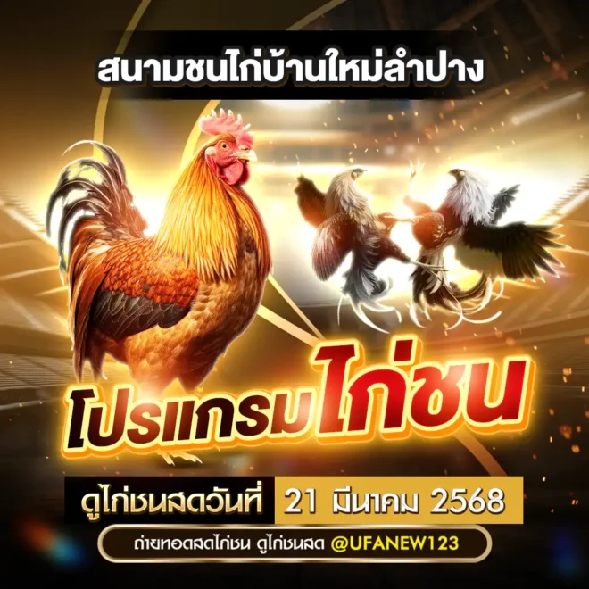 โปรแกรมไก่ชน 21 มีนาคม 2568