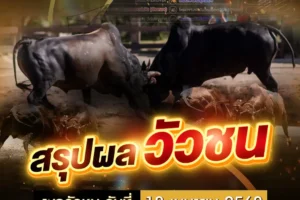 ผลวัวชน 18 เมษายน 2568