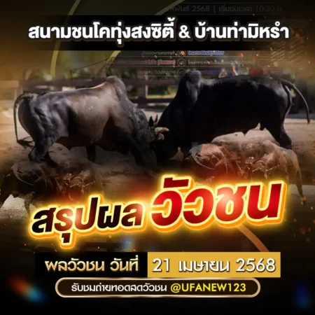 ผลวัวชน 21 เมษายน 2568
