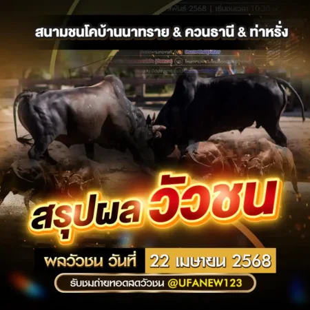 ผลวัวชน 22 เมษายน 2568