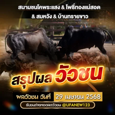ผลวัวชน 29 เมษายน 2568