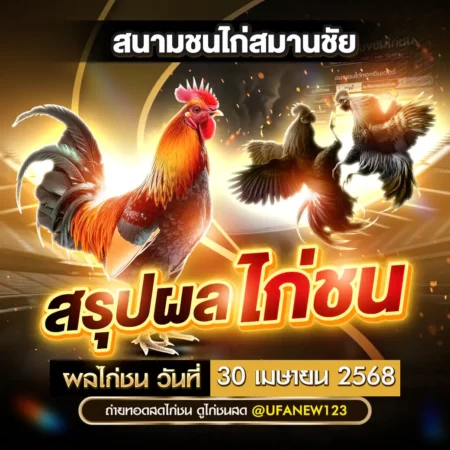 ผลไก่ชน 30 เมษายน 2568