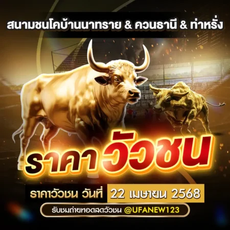 ราคาวัวชน 22 เมษายน 2568