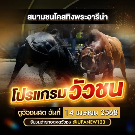 โปรแกรมวัวชน 14 เมษายน 2568