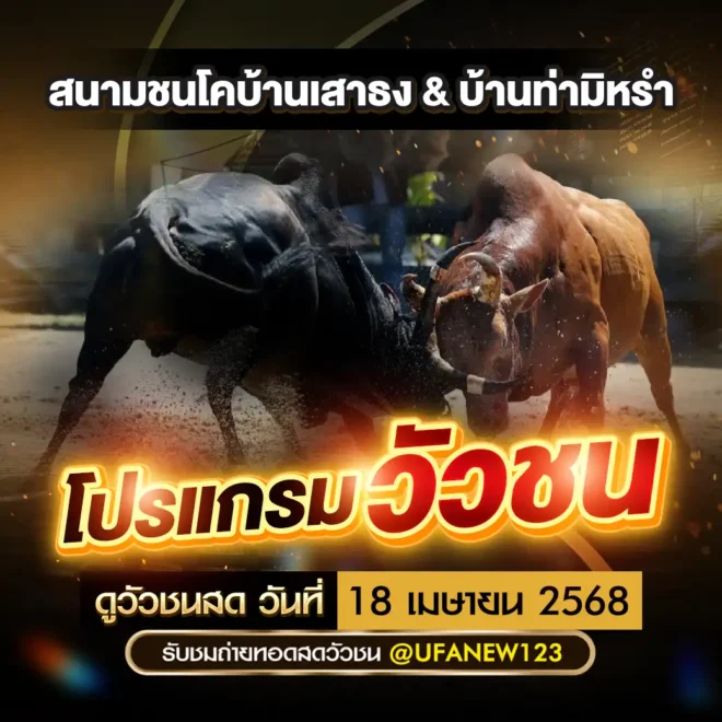 โปรแกรมวัวชน 18 เมษายน 2568