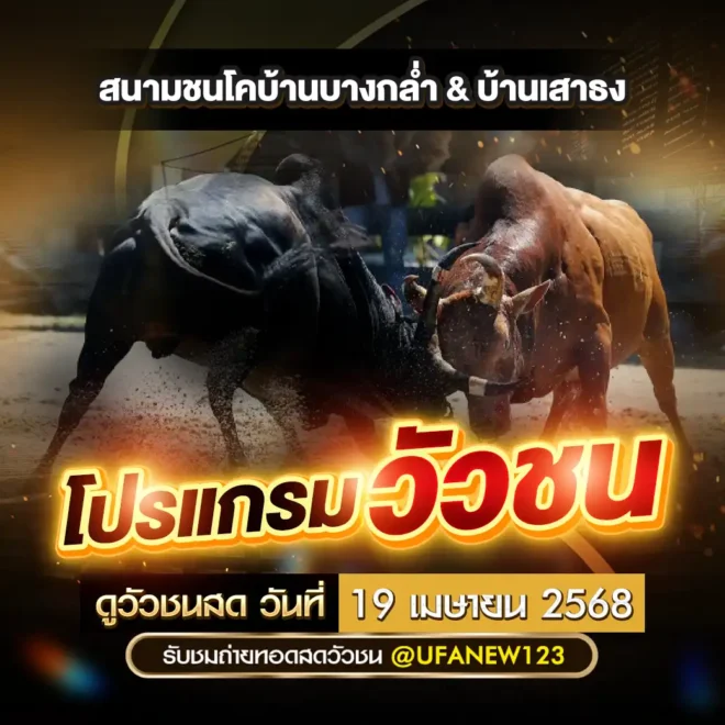 โปรแกรมวัวชน 19 เมษายน 2568