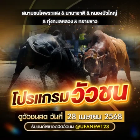 โปรแกรมวัวชน 28 เมษายน 2568