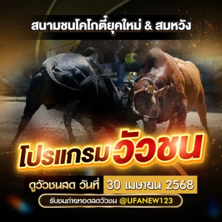 โปรแกรมวัวชน 30 เมษายน 2568