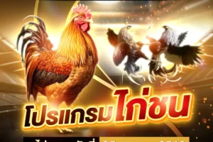 โปรแกรมไก่ชน 25 เมษายน 2568