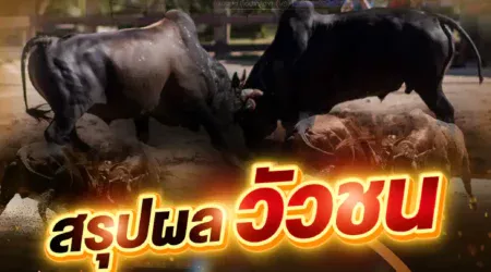 ผลวัวชน 03 พฤษภาคม 2568