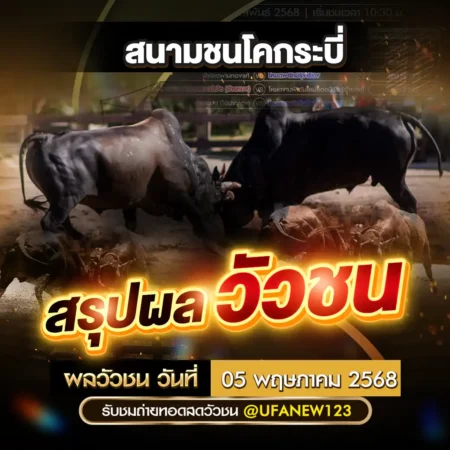 ผลวัวชน 05 พฤษภาคม 2568