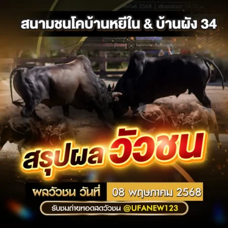 ผลวัวชน 08 พฤษภาคม 2568