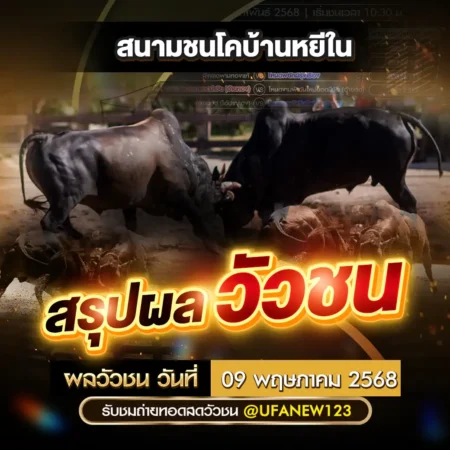 ผลวัวชน 09 พฤษภาคม 2568