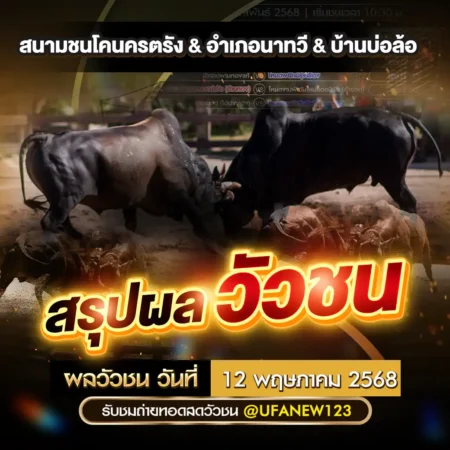 ผลวัวชน 12 พฤษภาคม 2568