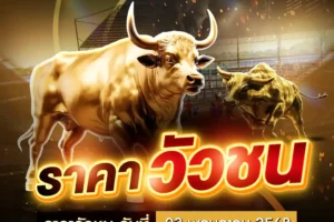 ราคาวัวชน 03 พฤษภาคม 2568