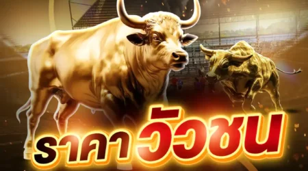 ราคาวัวชน 03 พฤษภาคม 2568