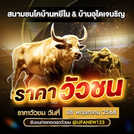 ราคาวัวชน 08 พฤษภาคม 2568