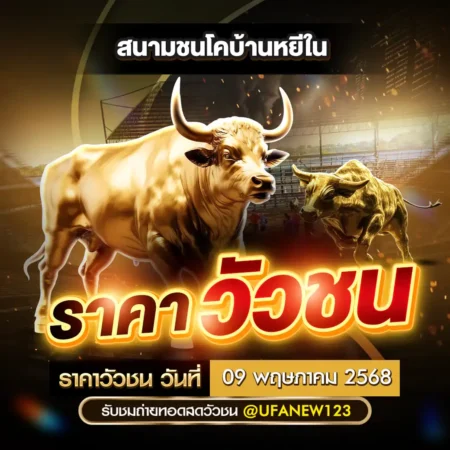 ราคาวัวชน 09 พฤษภาคม 2568