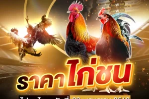 ราคาไก่ชน 03 พฤษภาคม 2568