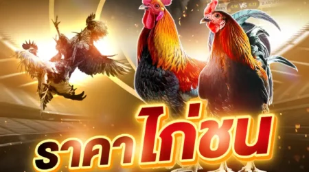 ราคาไก่ชน 03 พฤษภาคม 2568