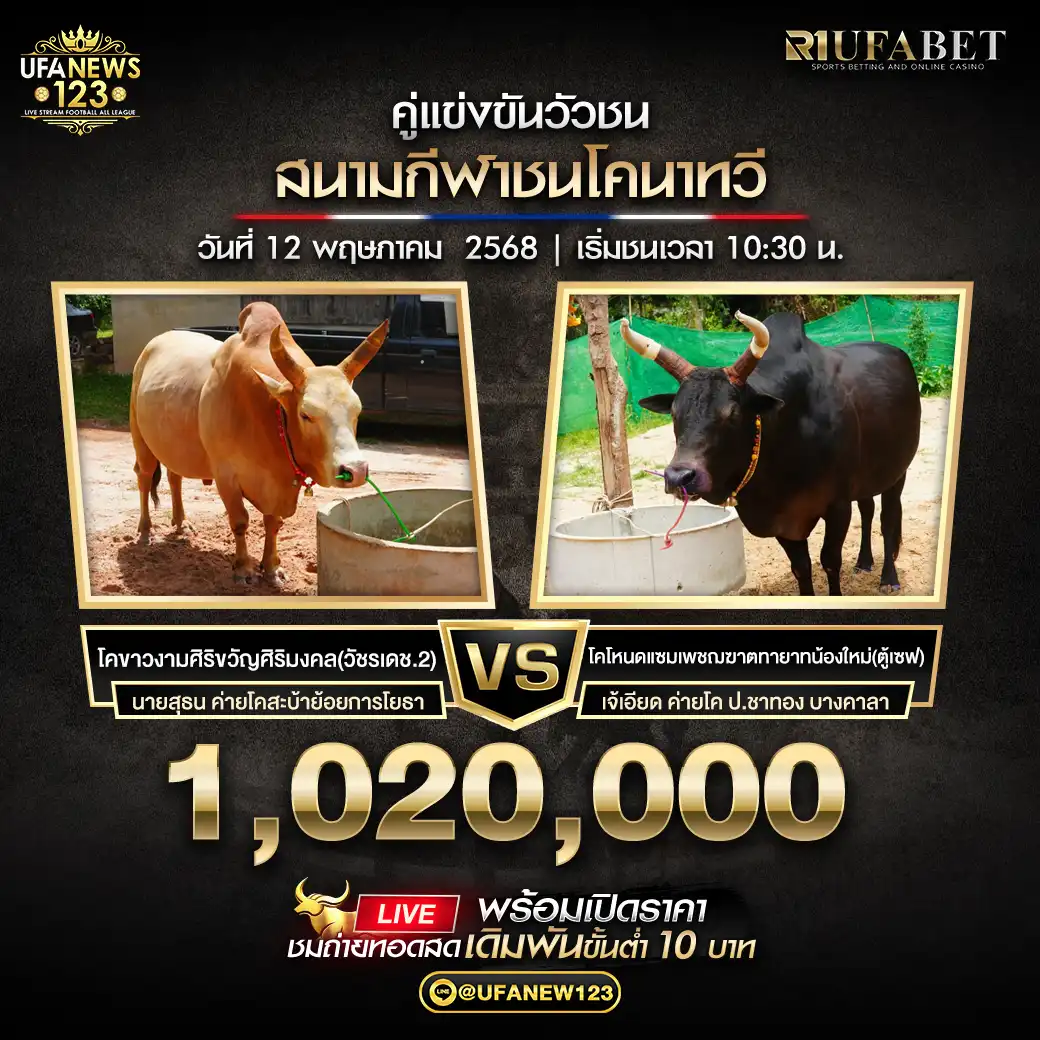 โคขาวงามศิริขวัญศิริมงคล(วัชรเดช.2) VS โคโหนดแชมเพชฌฆาตทายาหน้องใหม่ (ตู้เชฟ) ชิงรางวัล 1,020,000 บาท 12 พฤษภาคม 2568