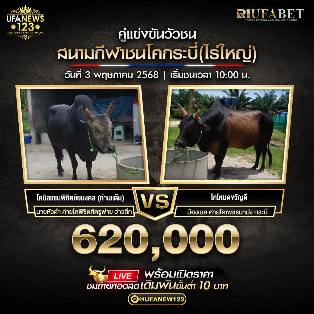โคนิลแซมพิชิตชัย มงคล(ท่านแต้ม) VS โคโหนดขวัญดี ชิงรางวัล 620,000 บาท 03 พฤษภาคม 2568