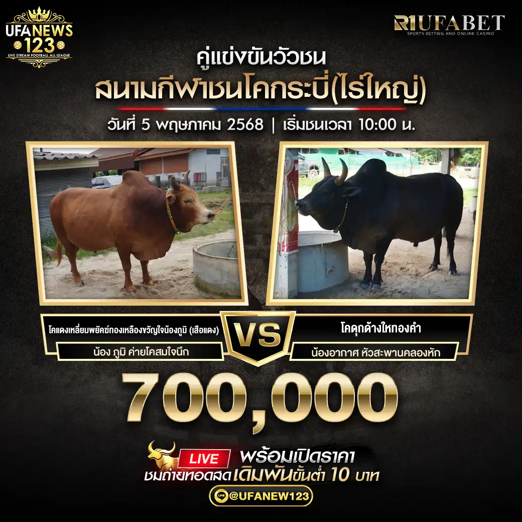 โคแดงเหลี่ยมพยัคฆ์ทองเหลืองขวัญใจน้องภูมิ(สือแดง) VS โคดุกด้างใหทองคำ ชิงรางวัล 700,000 บาท 05 พฤษภาคม 2568
