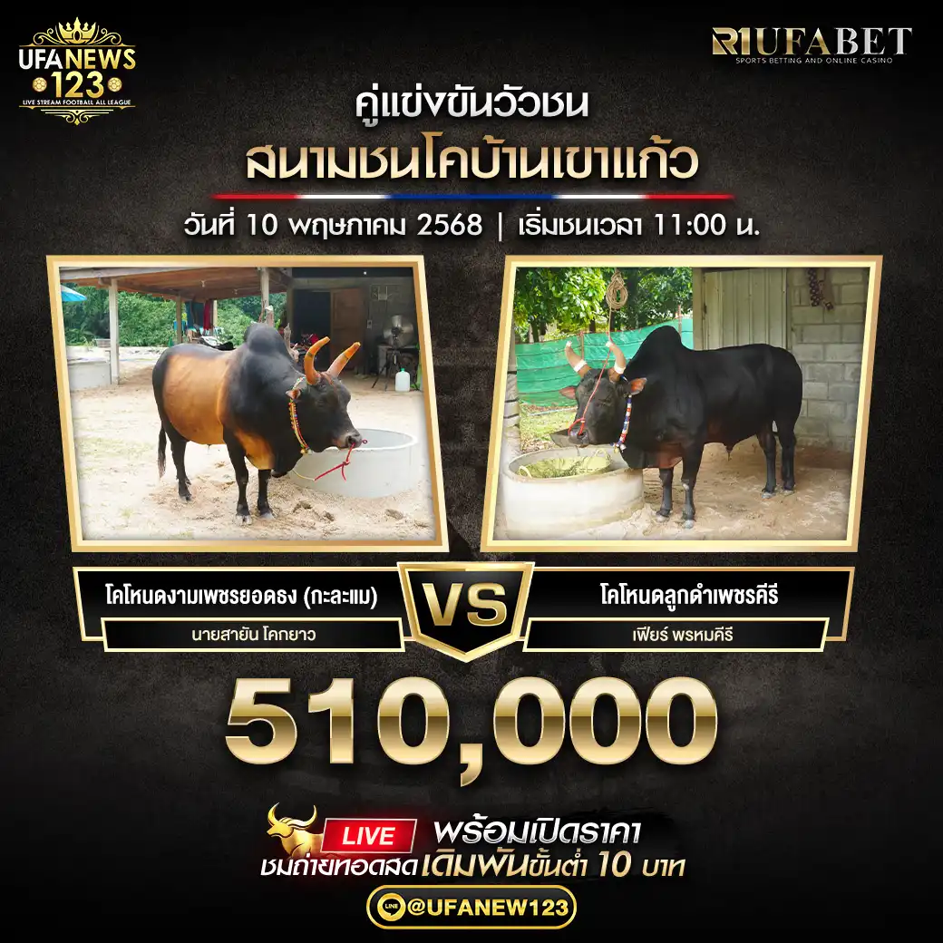 โคโหนดลูกดำเพชรคีรี เฟียร์ พรหมศิริ VS โคโหนดงามเพชรยอดธง (กะละแม) ชิงรางวัล 510,000 บาท 10 พฤษภาคม 2568