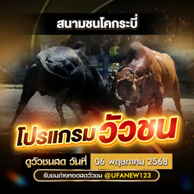 โปรแกรมวัวชน 06 พฤษภาคม 2568