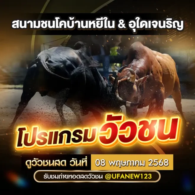 โปรแกรมวัวชน 08 พฤษภาคม 2568