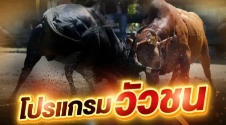โปรแกรมวัวชน 09 พฤษภาคม 2568
