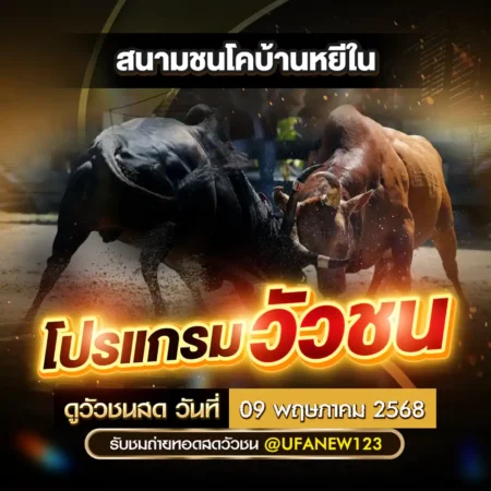 โปรแกรมวัวชน 09 พฤษภาคม 2568