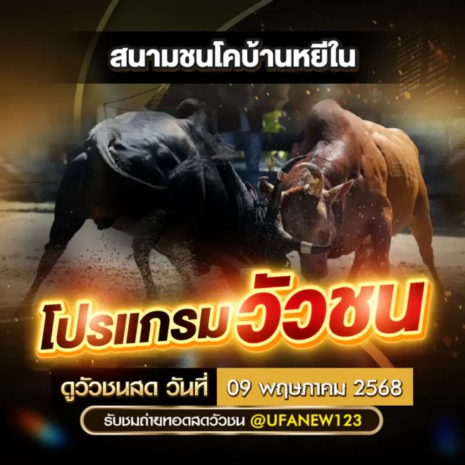 โปรแกรมวัวชน 09 พฤษภาคม 2568
