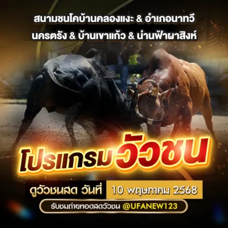 โปรแกรมวัวชน 10 พฤษภาคม 2568