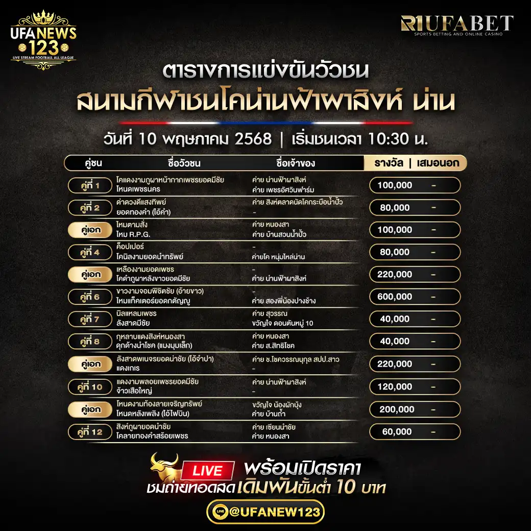 โปรแกรมวัวชน สนามกีฬาชนโคน่านฟ้าผาสิงห์ น่าน เริ่มเวลา 10:30 น. 10 พฤษภาคม 2568