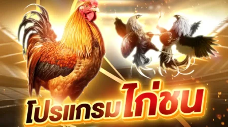 โปรแกรมไก่ชน 02 พฤษภาคม 2568