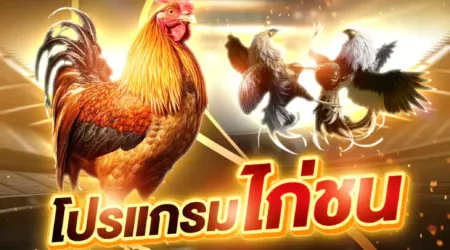 โปรแกรมไก่ชน 05 พฤษภาคม 2568
